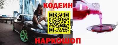 СК Гатчина