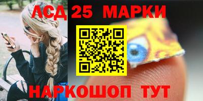СК Гатчина