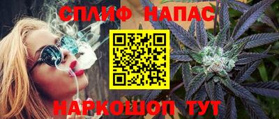 СК Гатчина