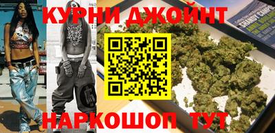 СК Гатчина
