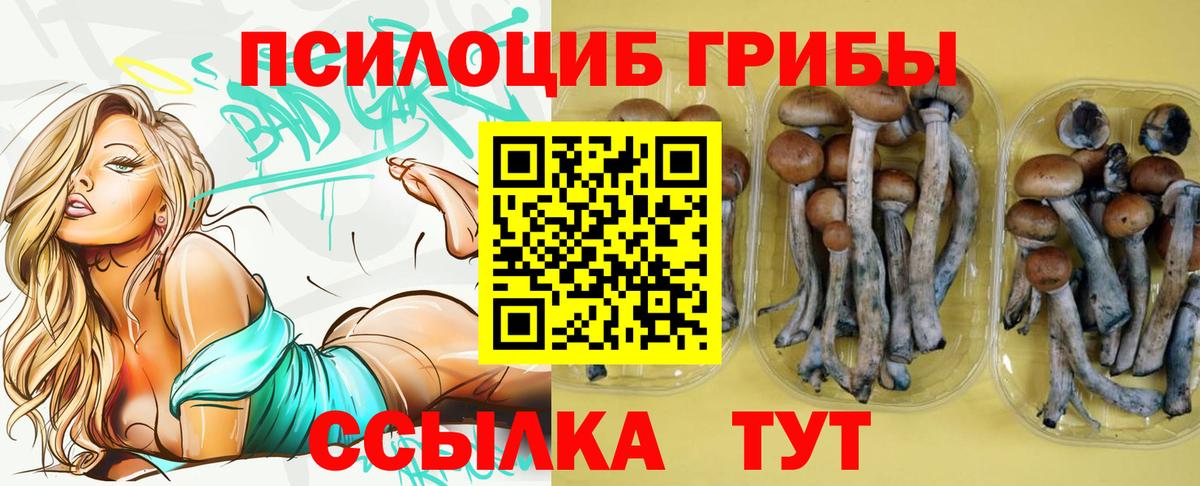 Псилоцибиновые грибы Magic Shrooms  Вход с VPN  Заинск  Псилоцибиновые грибы мицелий 